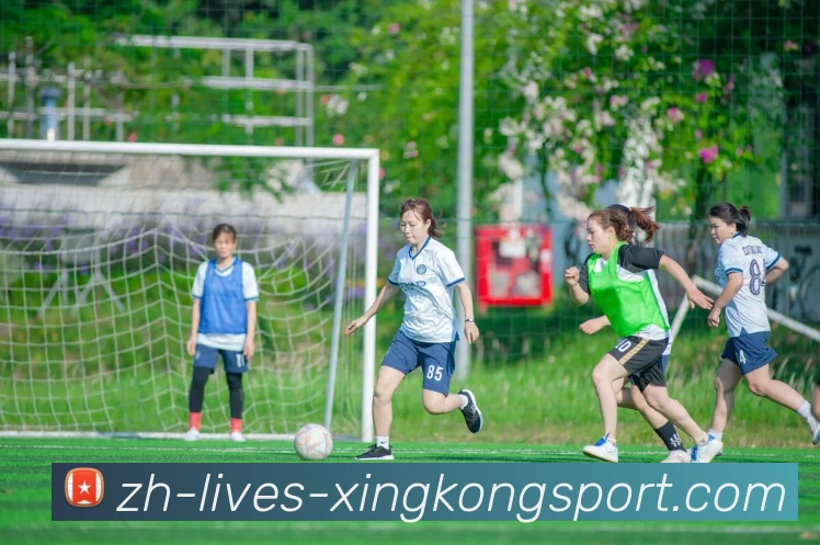 多媒体互动体验